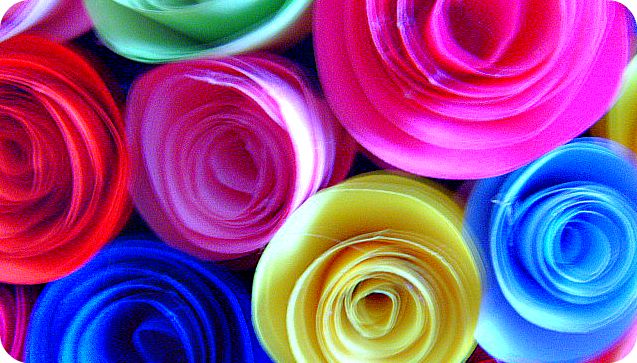 �12.jpg | �� ���������