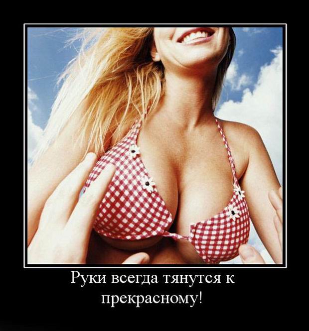 http://s7.hostingkartinok.com/uploads/images/2014/02/8a8735b22aeda2c48e5300518a46a77d.jpg