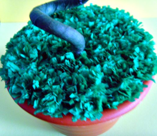 �21.jpg | �� ���������