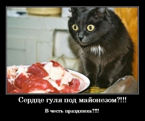 http://s7.hostingkartinok.com/uploads/images/2014/03/94cf20fd69e833583daf8d83615236d1.jpg