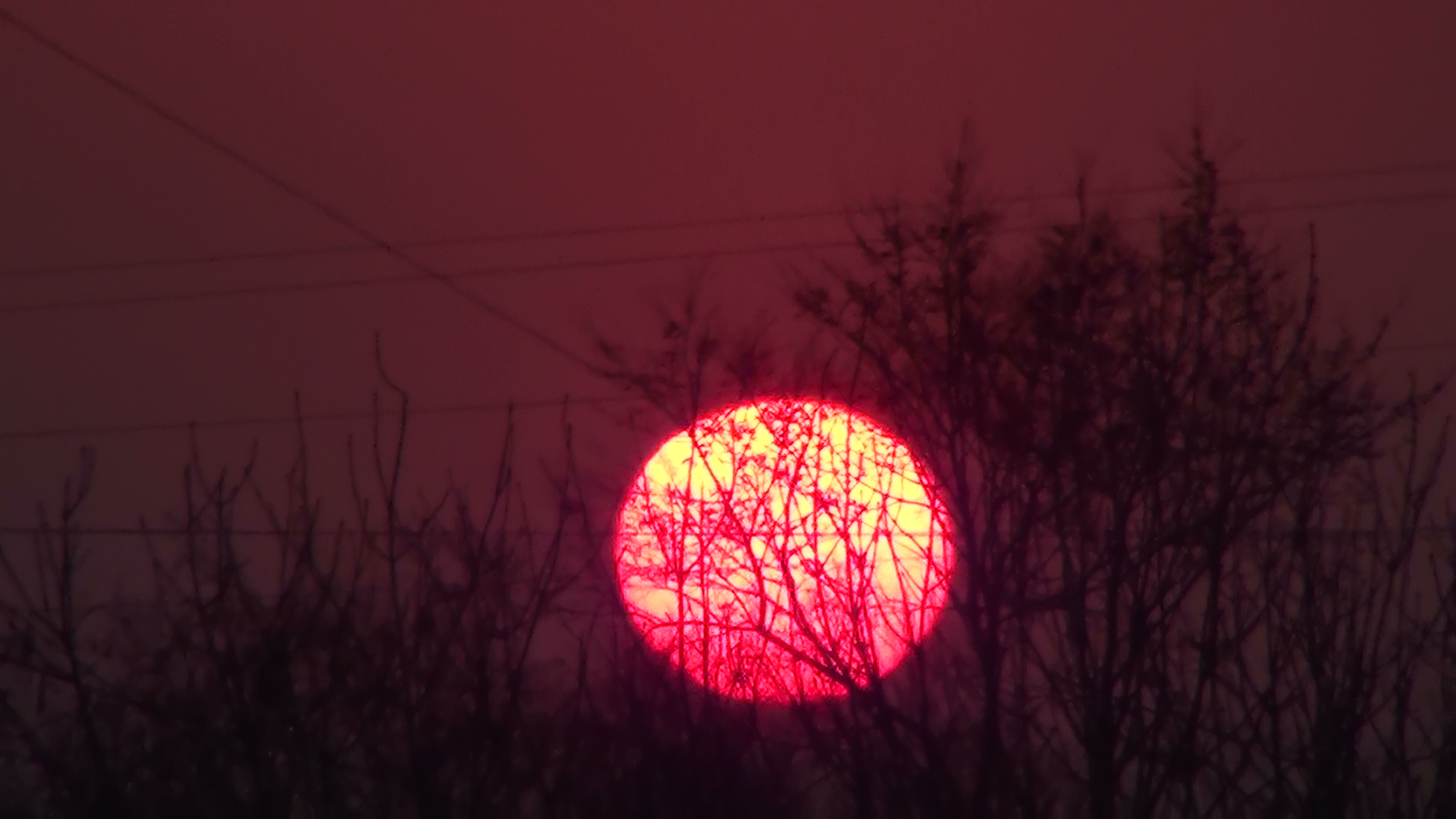 a4345b6eafa94665869872d385589d56.jpg