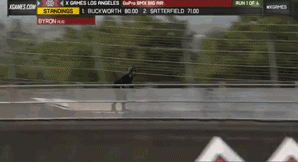 c61ef96e009578675d28791cb94a0f39.gif