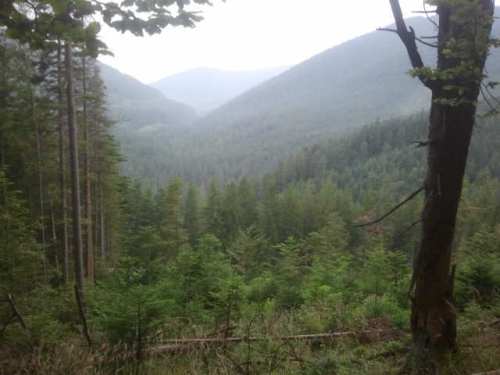 В Ивано-Франковской обл. состоялся молебен за установление мира и гармонии в Украине