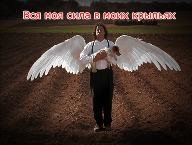 Где ж твои крылья, которые нравились мне. Красно-белый винегрет без вингеров