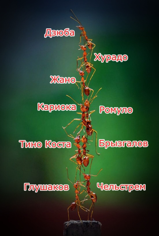 Схема Спартака в сезоне 2014-2015