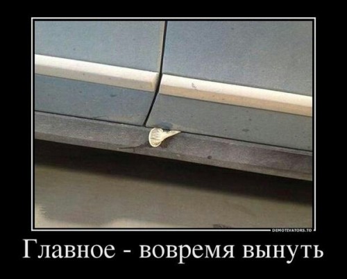 f2cb666ff234e513893c175b02c5790c.jpg