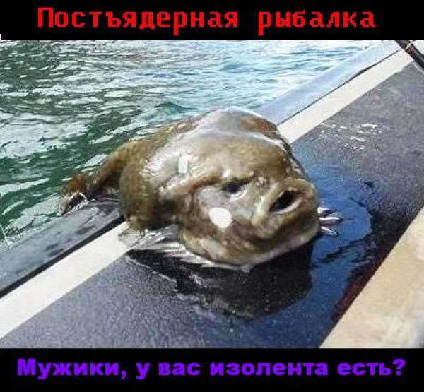 http://s7.hostingkartinok.com/uploads/images/2014/09/3a1c4c9bd362ca71a4e0a7d39169299d.jpg