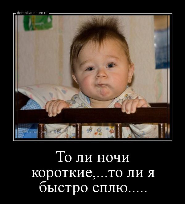 Анекдот песня про тольку Анекдот песня про тольку