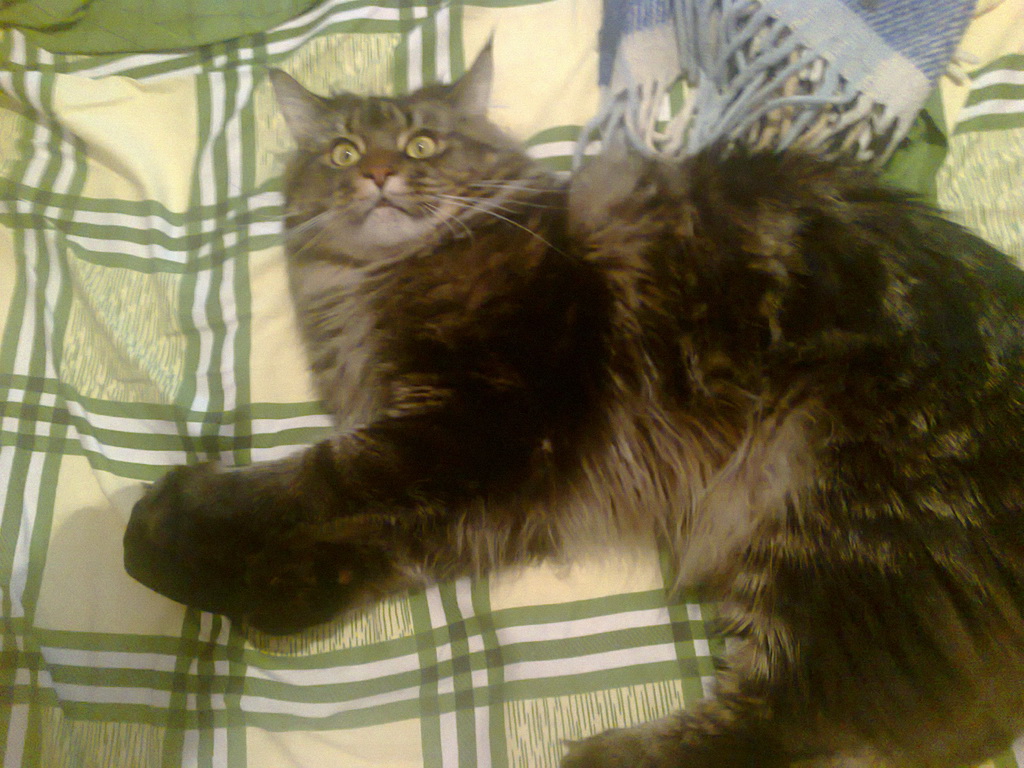 Зображення