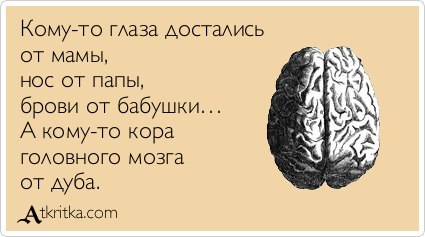 Статус вконтакте о мозге Статус вконтакте о мозге