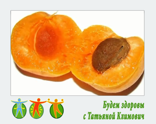 Питание и здоровье человека