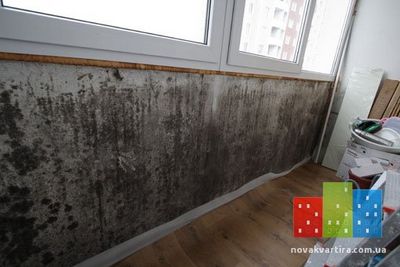 Как удалить плесень на стенах в квартире? Как удалить плесень на стенах в квартире?