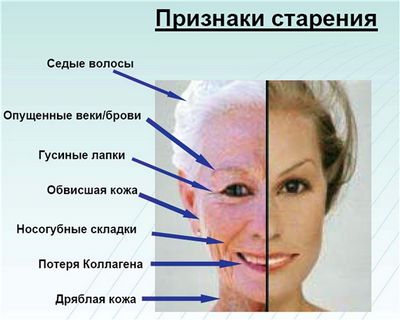 Как сохранить молодость и красоту в домашних условиях. причины старения кожи
