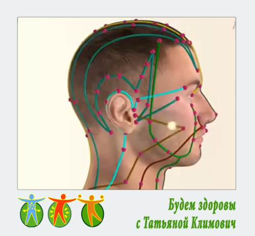 Защита здоровья человека