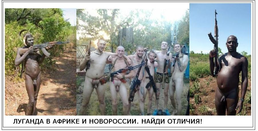 Image result for лугандония фото