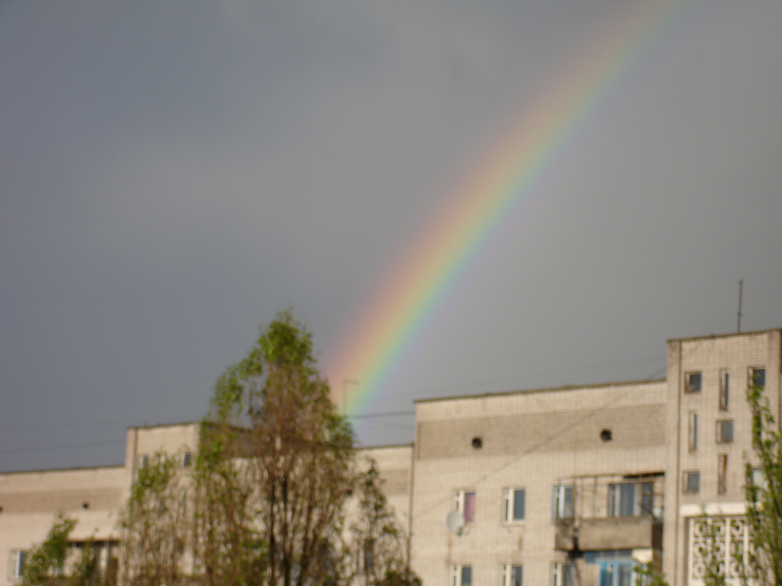 Сетевой Маркетинг