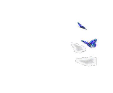 9bc0aaefad6ebfd2fe376cefebcb8ade.gif