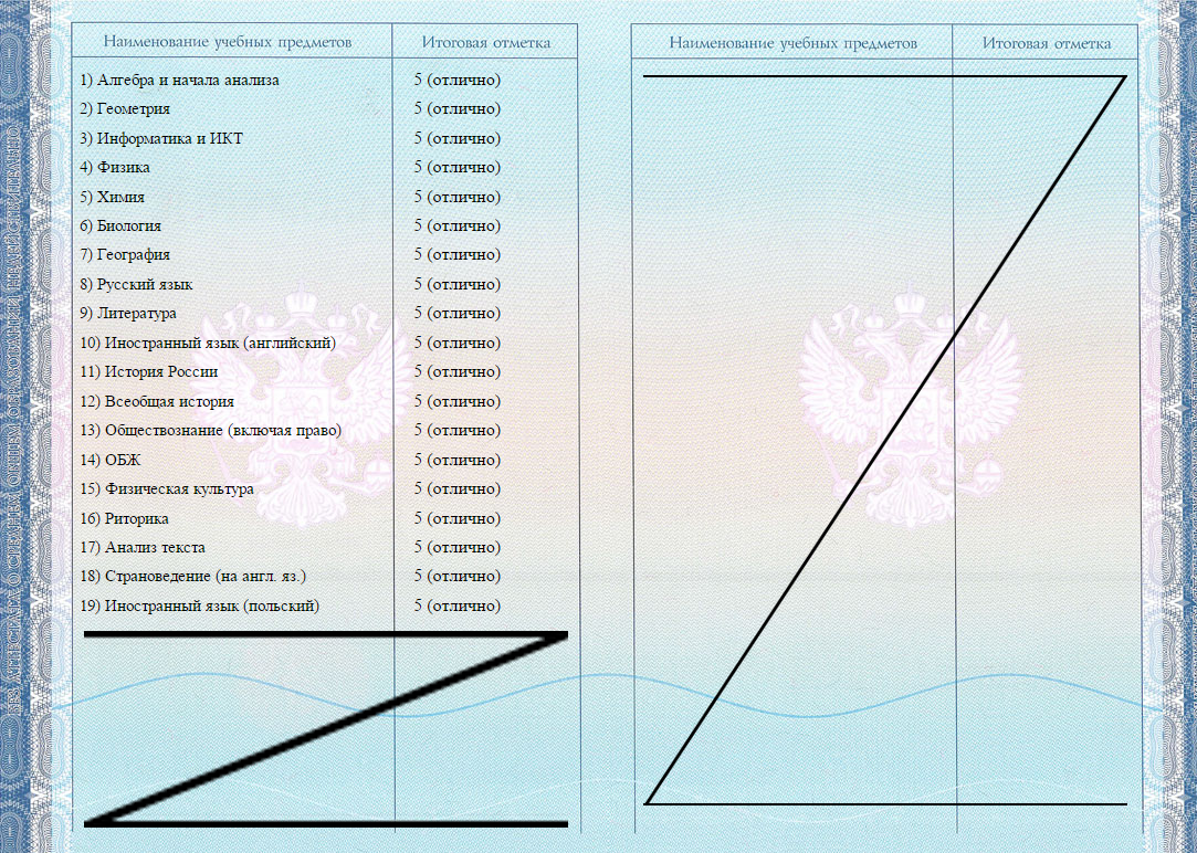 Список предметов в 9 классе россии аттестат 51 фото - wForm.ru