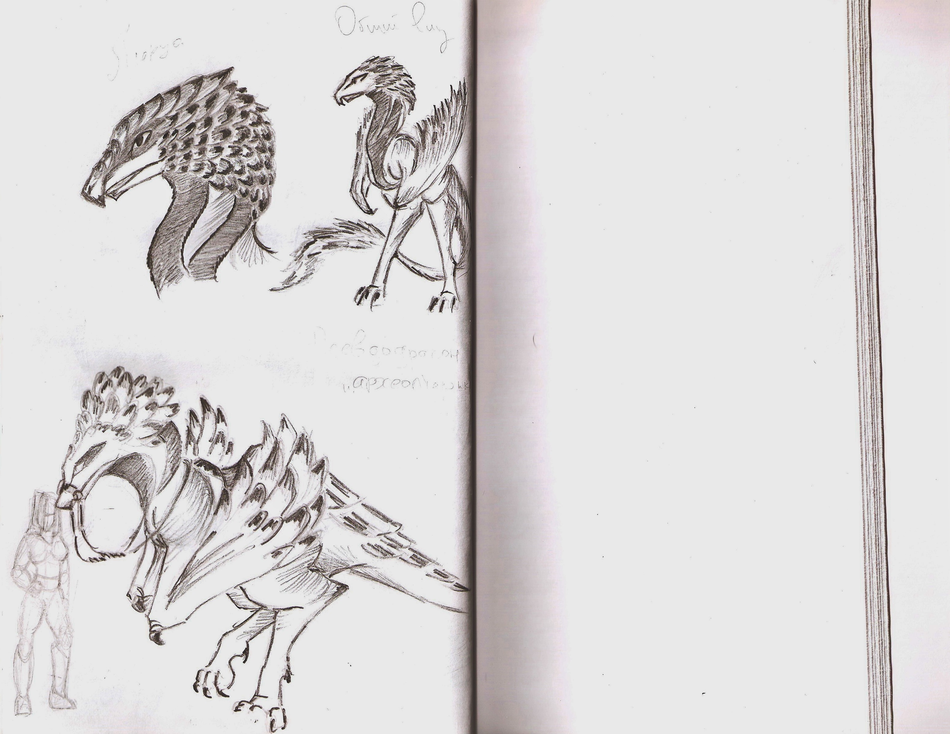 Скетчбук для рисования мифических существ