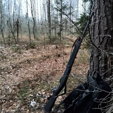 Размещенное изображение