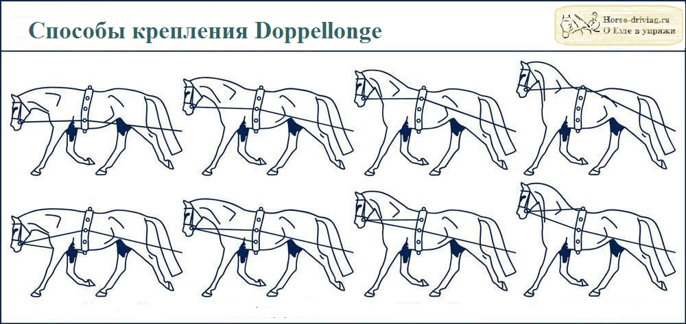 Doppellonge 8e088de8d953f42de3ce242a9d6f8e18