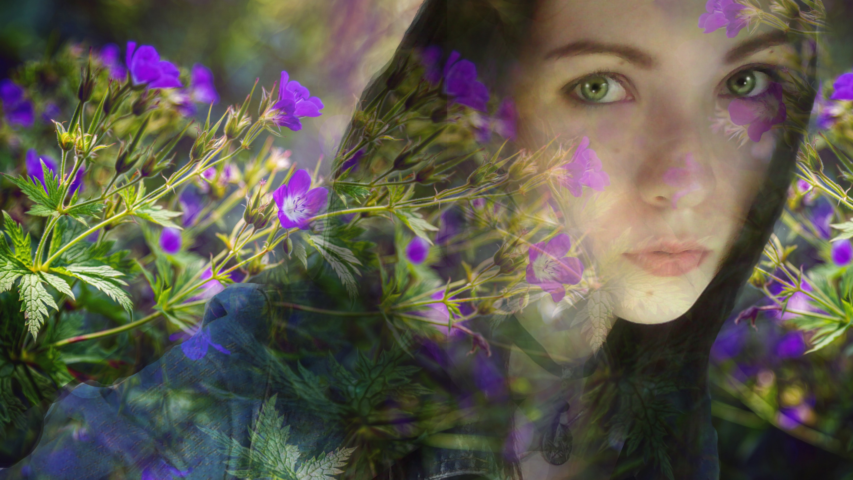 http://s7.hostingkartinok.com/uploads/images/2015/07/b40c9767a5bb83ddde011f8d031c4f6f.jpg