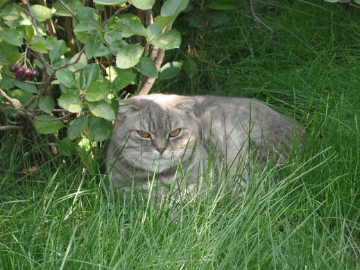 SAM_1316.JPG | Не добавлены