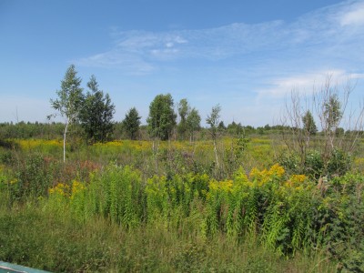 e492b1f8f0851af6edfe845b71a8382b.jpg