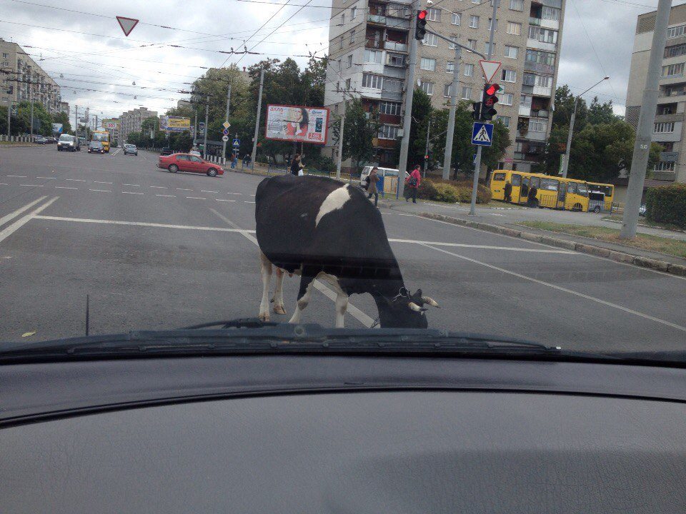 Зображення