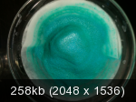 12de27b50061e58b868221e81208a7a0.png