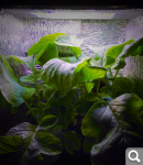 b32b500718d9d3fd3f260cb045e3971f.png