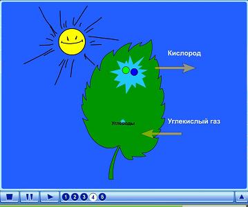 Рисунок схема фотосинтеза. Фотосинтез у растений для детей. Схема поглощения углекислого газа растениями. Фотосинтез растений рисунок. Фотосинтез рисунок схема.