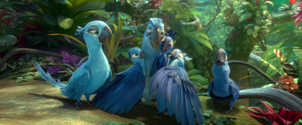 фелипе мультик рио. рио 2 голубчик. рио мультфильм тукан. рио задания. рио 1 голубчик и жемчужинка.