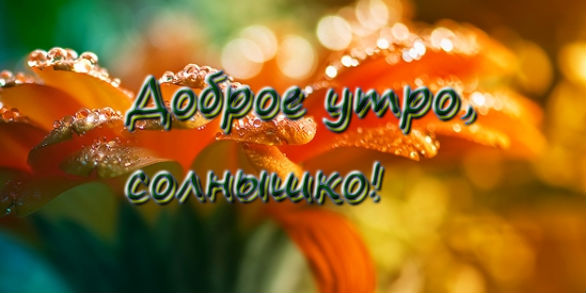Доброе Утро С Оранжевыми Детьми Картинки Красивые