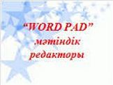 Мәтіндік редакторда кесте құру, формула енгізу