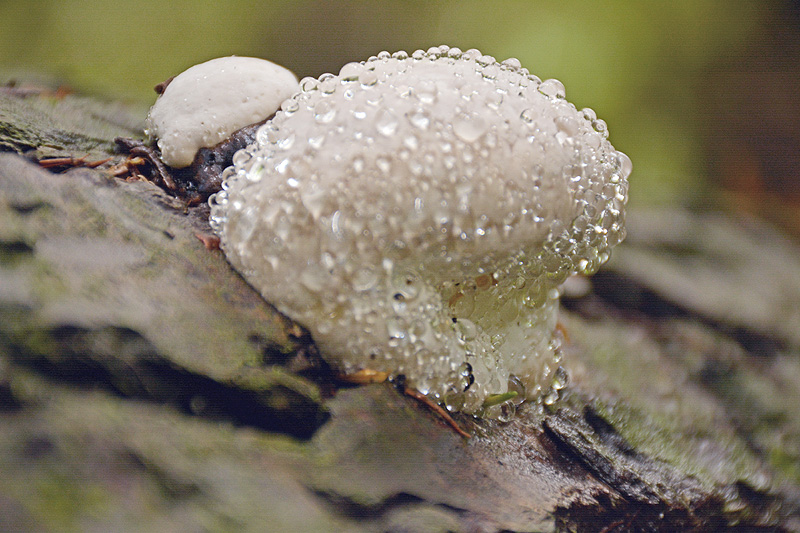 ac0f4801efb1c67f3360c023c1075547.jpg