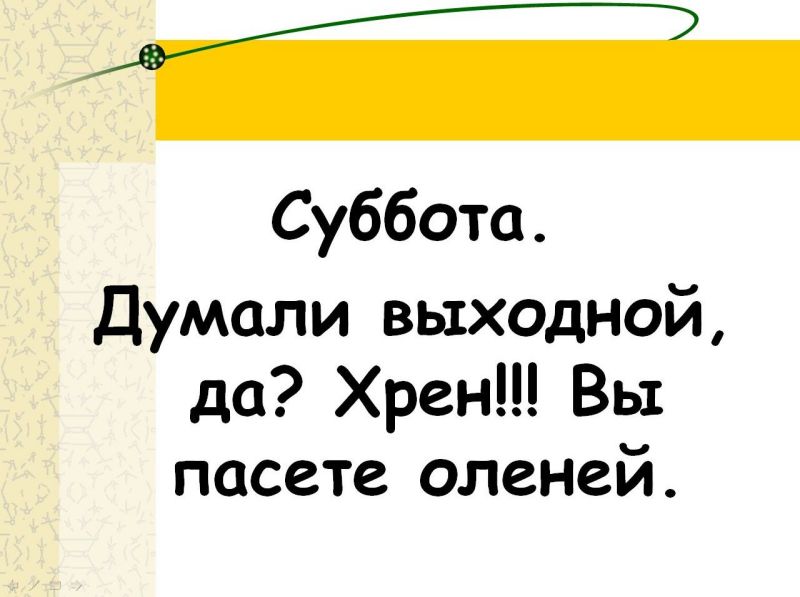 Суббота рабочий день картинки прикольные