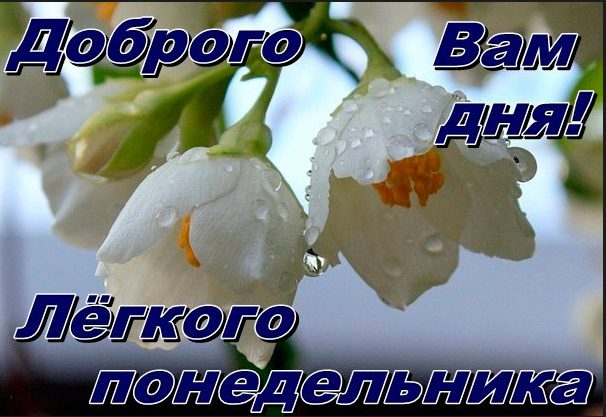 http://s7.hostingkartinok.com/uploads/images/2015/04/a26469547586bbc262ccf1d53fede110.png