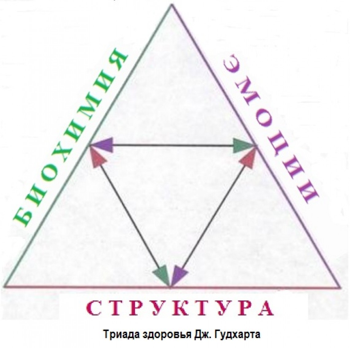 Прикладная кинезиология картинки