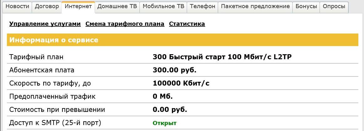 Изменить тариф домашнего интернета. Тариф 300 мотив. Договор на интернет Билайн.