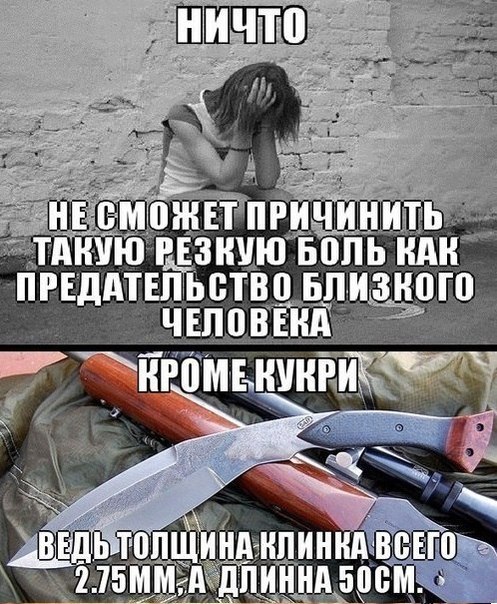 Предатель смешные картинки