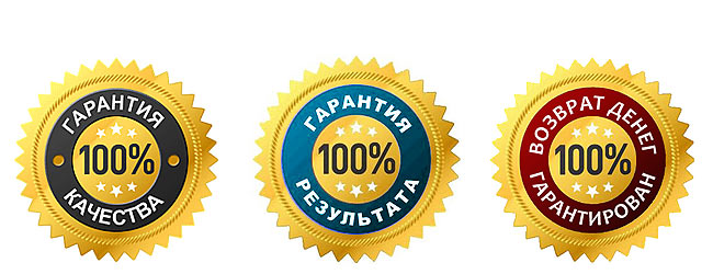 100% Гарантия. 100 Гарантия качества. Гарантия качества иконка. 100 Гарантия качества значок.